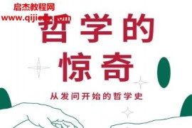 (瑞)让娜海尔施著哲学的惊奇电子书pdfmobiepub格式百度网盘下载学习