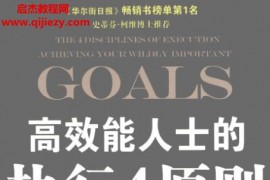 (美)克里斯麦克切斯尼著高效能人士的执行4原则电子书pdf百度网盘下载学习