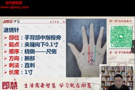 即慧中医张宝春中医适宜技术气道三元手疗系统课程64集百度网盘下载学习