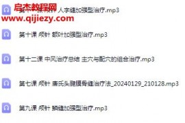 实用临床疑难病例治疗系列专题研修课程针灸治疗中风治疗音频课程9集百度网盘下载学习