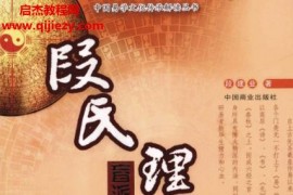 段建业段氏命理合集9本电子书pdf百度网盘下载学习