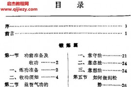 陈永灿著中华益智气功电子版pdf百度网盘下载学习