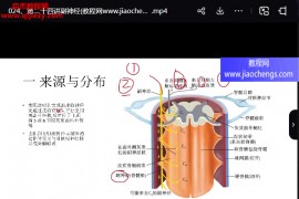 徐高磊神经反射疗法视频课程27集百度网盘下载学习