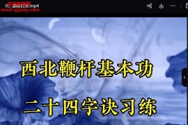 西北鞭杆基本功秘传24字诀单式视频课程25集百度网盘下载学习