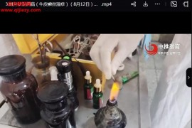 杨晓陆火针治疗皮肤病及疑难杂症视频课程5集百度网盘下载学习