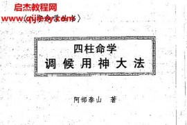 阿部泰山著四柱命学调候用神大法电子书pdf百度网盘下载学习