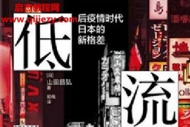 (日)山田昌弘著低流动社会后疫情时代日本的新格差电子书pdfmobiepub格式百度网盘下载学习