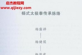 汪仲明陈田良著汪传杨式太极拳修正实录电子版pdf百度网盘下载学习