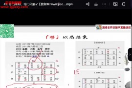 2024年逍遥张老师奇门遁甲国学网络弟子班教学音视频课程46集百度网盘下载学习