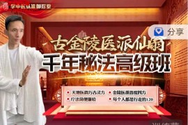 乔嘉宣古金陵医派仙翁千年秘法高级班视频课程133集仙翁道医神机辨病诊疗法百度网盘下载学习