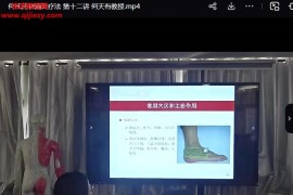 何天有何氏药物铺灸疗法视频课程14集百度网盘下载学习