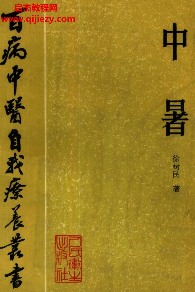 百病中醫(yī)自我診療叢書徐樹民著中暑電子書pdf百度網(wǎng)盤下載學(xué)習(xí)