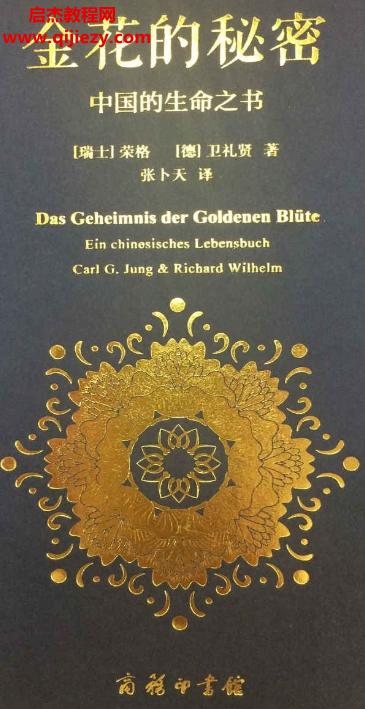 金花的秘密中國(guó)的生命之書(shū)電子書(shū)pdf百度網(wǎng)盤(pán)下載學(xué)習(xí)