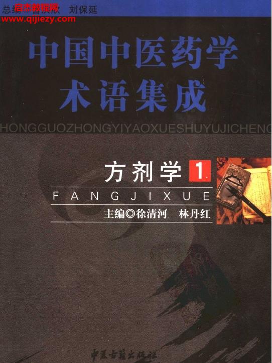 中國中醫(yī)藥學術語集成全10冊電子書pdf百度網盤下載學習