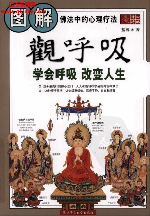 藍梅著圖解觀呼吸學會呼吸改變人生電子書pdf佛法中的心理療法百度網盤下載學習