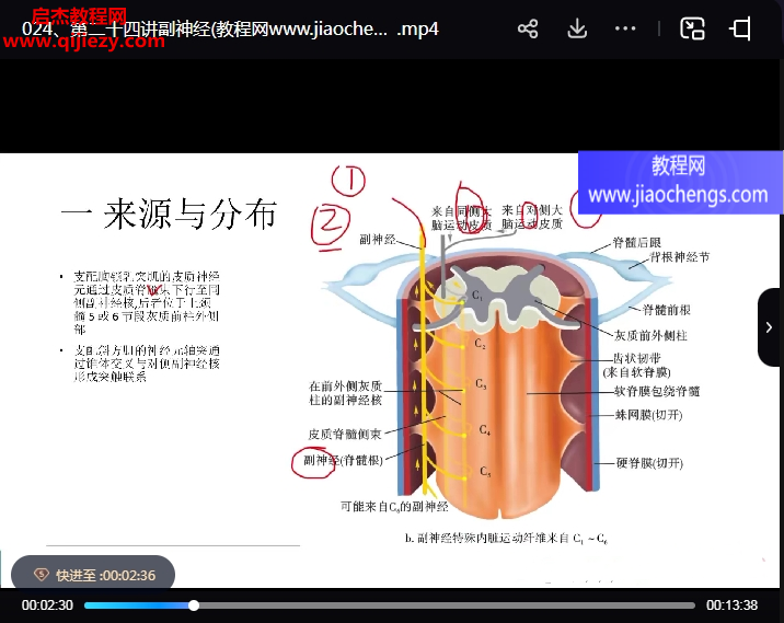 徐高磊神經反射療法視頻課程27集百度網盤下載學習