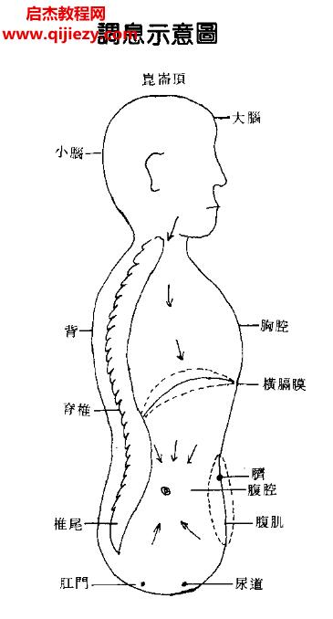 道玄子著中国道家养气全书电子版pdf百度网盘下载学习