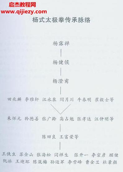 汪仲明陳田良著汪傳楊式太極拳修正實(shí)錄.png