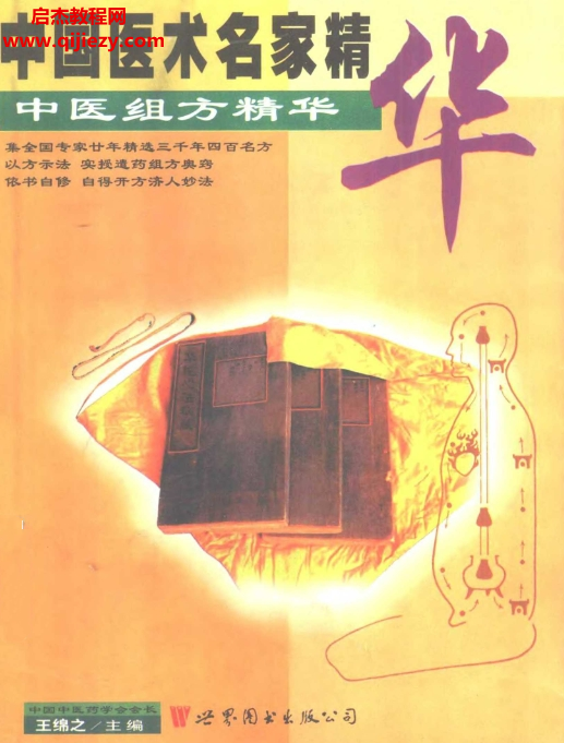 中國醫(yī)術名家精華叢書全4卷電子書pdf百度網(wǎng)盤下載學習