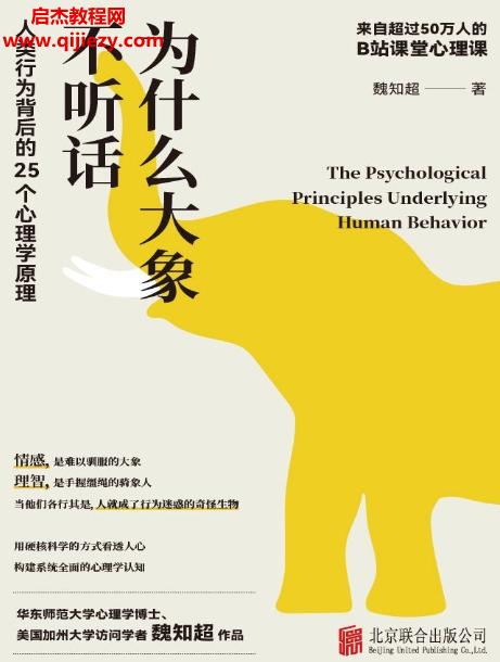 魏知超著為什么大象不聽話電子書pdfmobiepub格式百度網(wǎng)盤下載學(xué)習(xí)