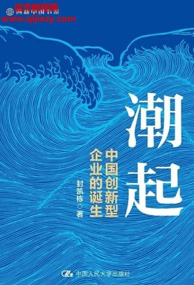 封凱棟著潮起中國創(chuàng)新型企業(yè)的誕生電子書pdfmobiepub格式百度網(wǎng)盤下載學(xué)習(xí)