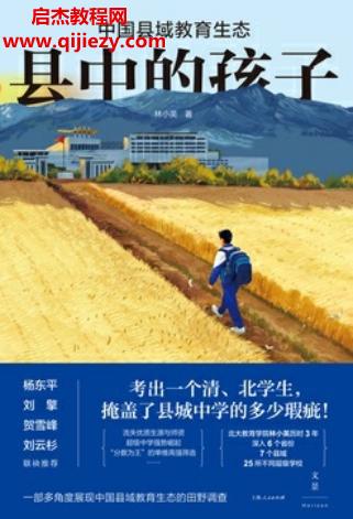 林小英著縣中的孩子中國(guó)縣域教育生態(tài)電子書(shū)pdfmobiepub格式百度網(wǎng)盤(pán)下載學(xué)習(xí)