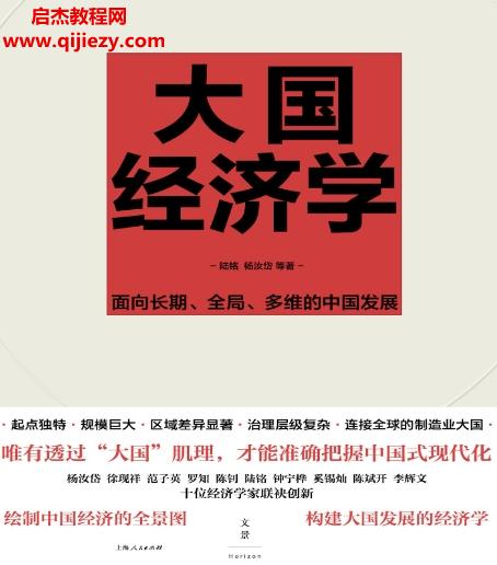 陸銘著大國經(jīng)濟(jì)學(xué)面向長期全局多維的中國發(fā)展.png