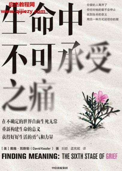 (美)戴維凱斯勒著生命中不可承受之痛電子書(shū)pdfmobiepub格式百度網(wǎng)盤下載學(xué)習(xí)