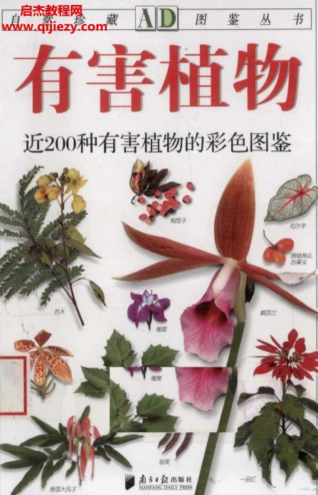 自然珍藏圖鑒叢書30本全電子書pdf百度網(wǎng)盤下載學習