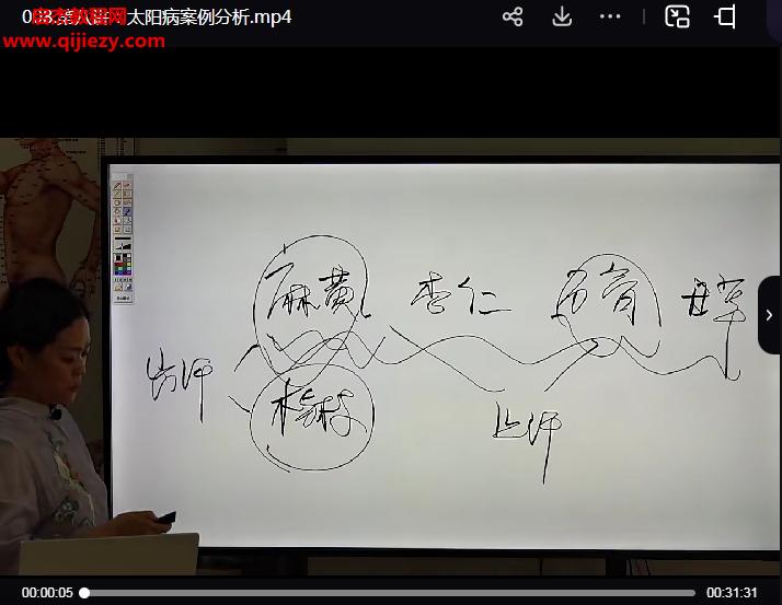 金梅洛書方藥(傷寒經方傳承班)視頻課程98集百度網盤下載學習